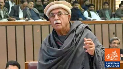 قومی اسمبلی میں محمود خان اچکزئی اپوزیشن لیڈر مقرر