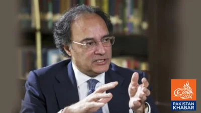 پاکستان کے زرمبادلہ بڑھیں گے:وفاقی وزیر خزانہ