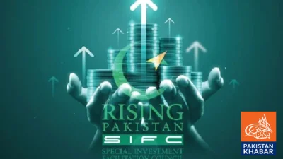 حکومت کی اقتصادی اصلاحات: پی آئی اے اور قومی اداروں کی نجکاری کا پروگرام جاری