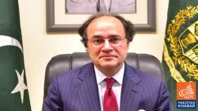 پٹرولیم سپلائی مستحکم، عوام پر بوجھ کم رکھنے کی کوشش ہے:وزیر خزانہ کا اعلان